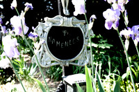 Friedhof der Namenlosen_(c)_Nadja Meister_