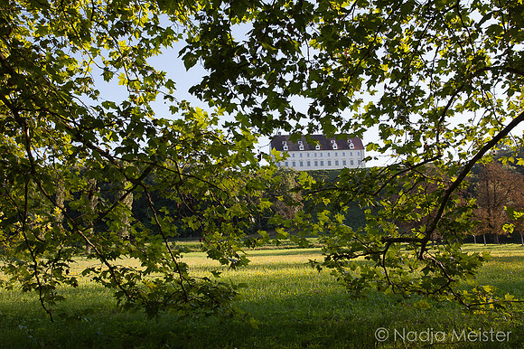Landpartie WAGRAM_Stetteldorf Schloss&Platane_(c)_Nadja Meister_IMG_9178