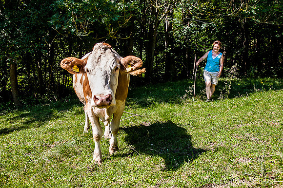 Perschenegg_Familie Lashofer_(c)_Nadja Meister_IMG_7416