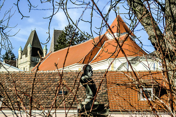 Maissau_by_Nadja Meister_IMG_9392