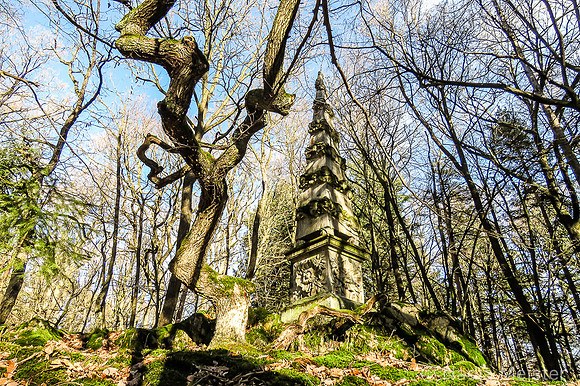 Maissau_by_Nadja Meister_IMG_9444