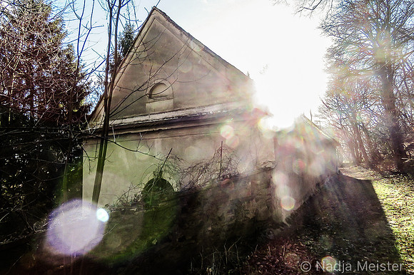 Maissau_by_Nadja Meister_IMG_9460