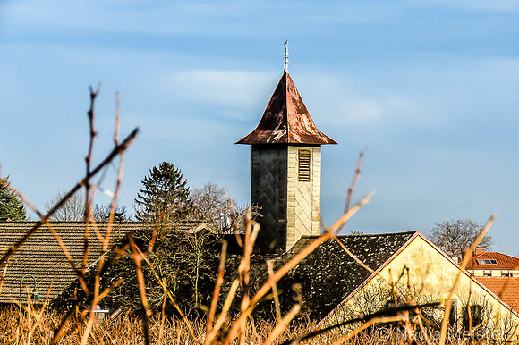 Maissau_by_Nadja Meister_IMG_9469