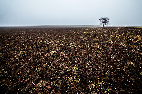 Wagram_by_Nadja Meister_IMG_1011