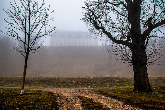 Wagram_by_Nadja Meister_IMG_1070