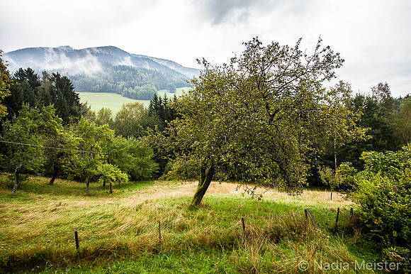 Riegelhof_by_Nadja Meister_IMG_0712