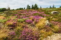 1000 Marches Trek_(c)_Nadja Meister_IMG_0518