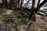 NP Park Donau Auen & Blick auf Devin_(c)_Nadja Meister_IMG_1823