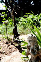 Friedhof der Namenlosen_(c)_Nadja Meister_