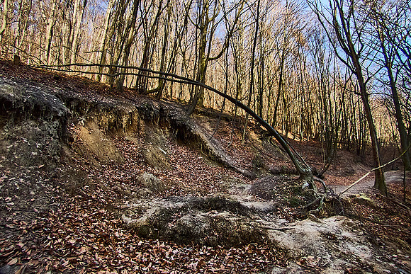 Hagenbachklamm_(c)_Nadja Meister_IMG_1751