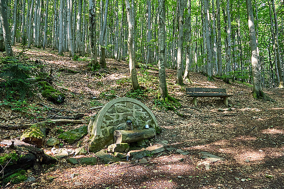 Wanderung Schöpfl_(c)_Nadja Meister_IMG_9318