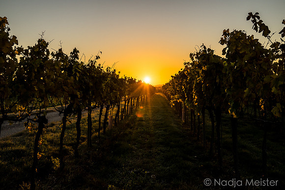 Landpartie WAGRAM & Weitblick_(c)_Nadja Meister_DSC01563