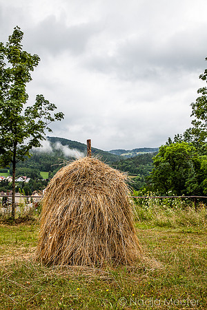 Wiener Alpen_Sommerfrische_(c)_Nadja Meister_IMG_9389