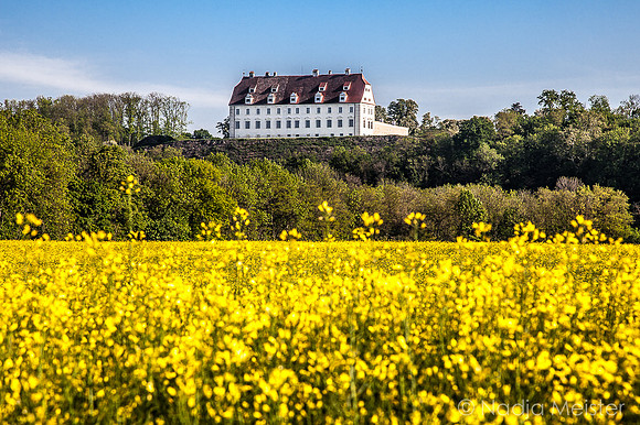 Landpartie WAGRAM_Orte_Spaziergang_(c)_Nadja Meister_IMG_9310