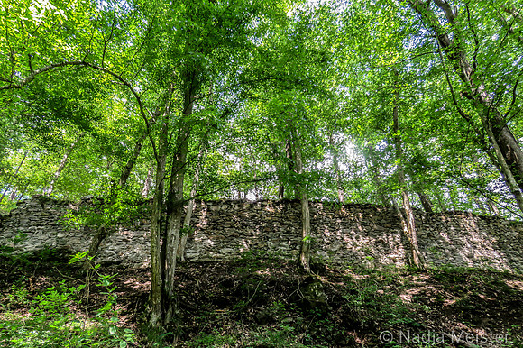 Kamptal_by_Nadja Meister_IMG_0226