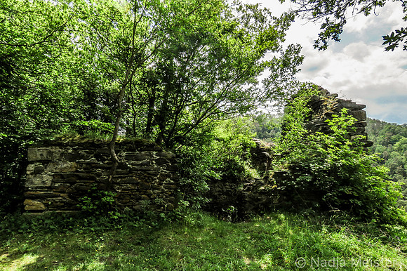Kamptal_by_Nadja Meister_IMG_0216
