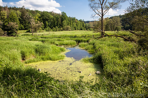 Kamptal_by_Nadja Meister_IMG_7982