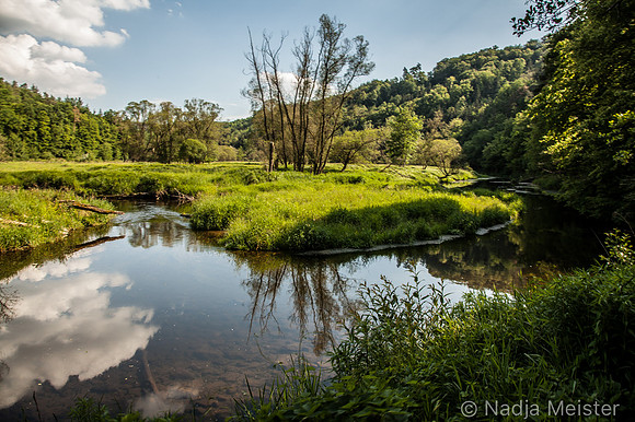 Kamptal_by_Nadja Meister_IMG_7985