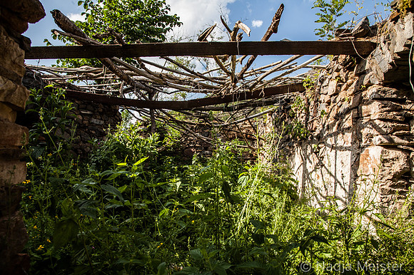 Kamptal_by_Nadja Meister_IMG_8024
