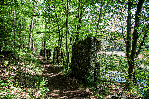 Kamptal_by_Nadja Meister_IMG_8038