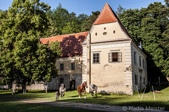 Kamptal_by_Nadja Meister_IMG_8063