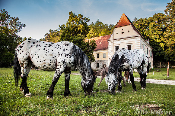 Kamptal_by_Nadja Meister_IMG_8091