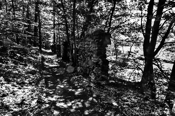 Kamptal_by_Nadja Meister_IMG_0203