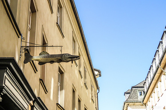 Olomouc_by_Nadja Meister_IMG_7952