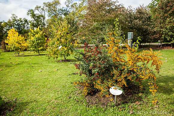 Alchemisten Garten_by_Nadja Meister_IMG_5489