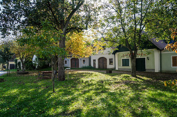Kellergasse Moosbierbaum_(c)_Nadja Meister_DSC03433