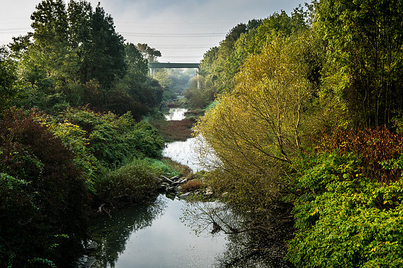 Fluss Perschling&Donau_(c)_Nadja Meister_DSC03430