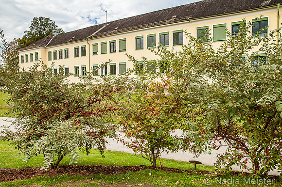 Alchemisten Garten_by_Nadja Meister_IMG_5447