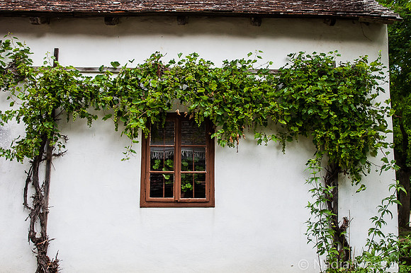 Niedersulz Museumsdorf_by_Nadja MeisterIMG_0323