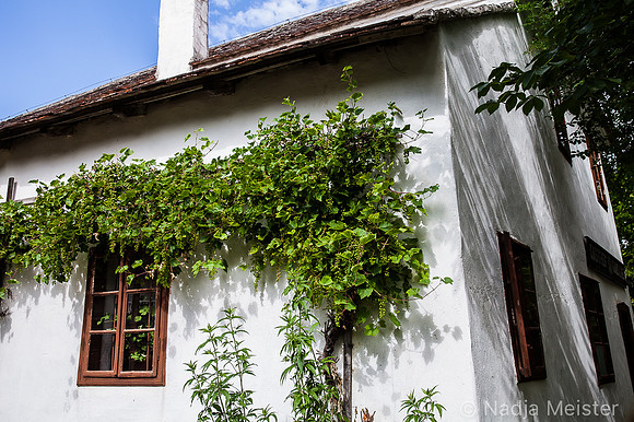 Niedersulz Museumsdorf_by_Nadja MeisterIMG_8674
