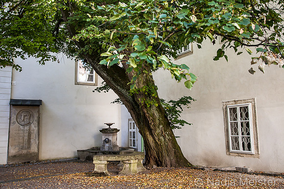 Ernstbrunn_by_Nadja Meister_IMG_6625