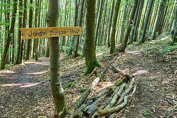 Wanderung Schöpfl_(c)_Nadja Meister_IMG_9317