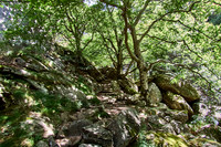 1000 Marches Trek_(c)_Nadja Meister_IMG_0463