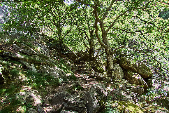 1000 Marches Trek_(c)_Nadja Meister_IMG_0463