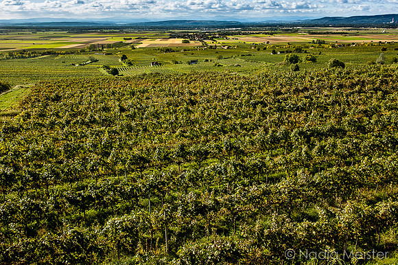 Landpartie WAGRAM & Weitblick_(c)_Nadja Meister_IMG_6354