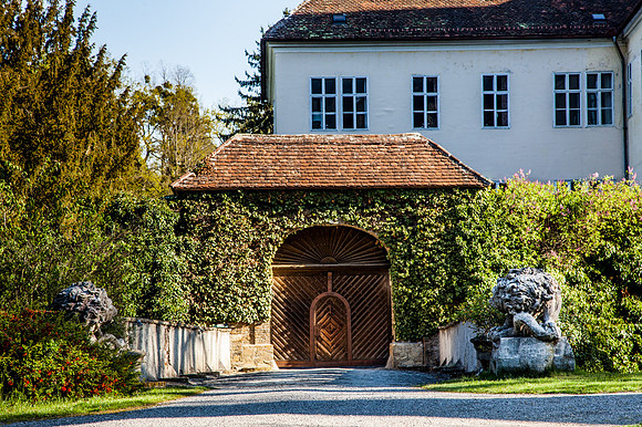 Pyhra_Wald_Schloss Wald_(c)_Nadja Meister_IMG_5180