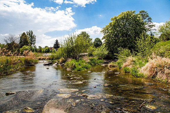 Weishing_Zusammenfluss Perschling&Michelbach_(c)_Nadja Meister_IMG_6029