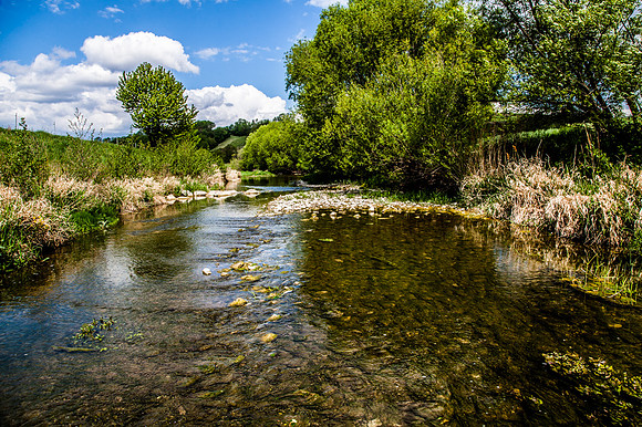 Weishing_Zusammenfluss Perschling&Michelbach_(c)_Nadja Meister_IMG_6015