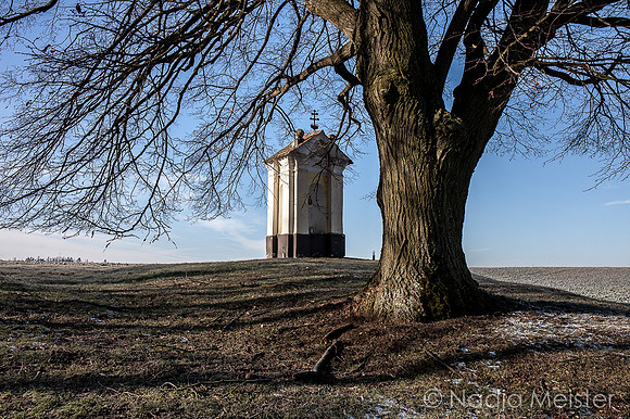 Staatsgrenze_by_Nadja Meister_IMG_4930