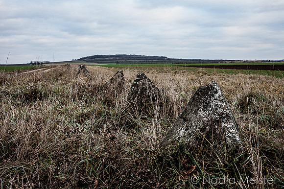 Staatsgrenze_by_Nadja Meister_IMG_2601