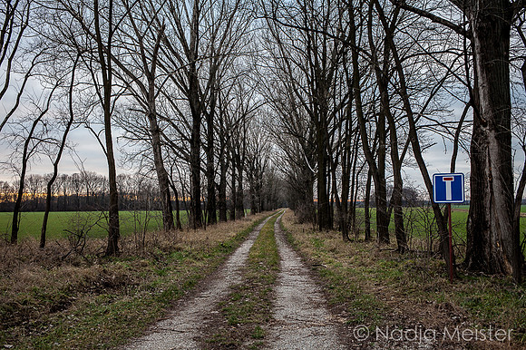 Staatsgrenze_by_Nadja Meister_IMG_2609