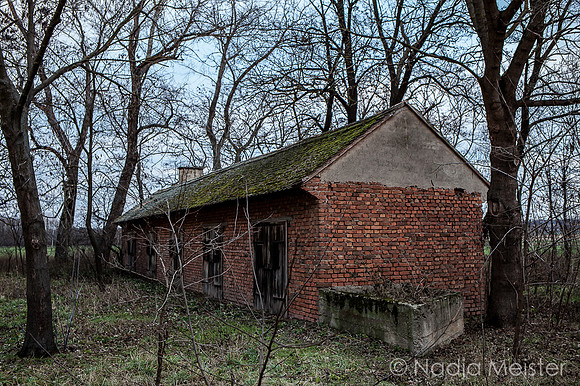 Staatsgrenze_by_Nadja Meister_IMG_2649