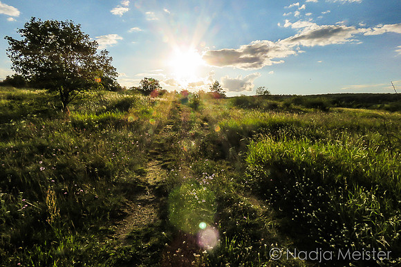 Znaim & Umgebung_by_Nadja Meister_IMG_4513