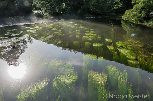 Hardegg_by_Nadja Meister_IMG_8196