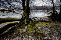 NP Park Donau Auen & Blick auf Devin_(c)_Nadja Meister_IMG_1811