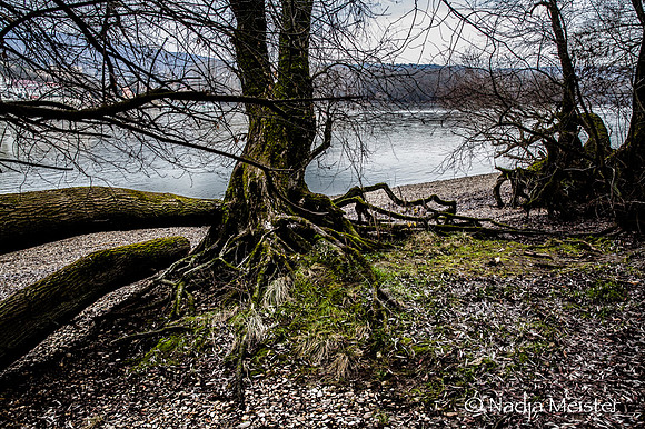 NP Park Donau Auen & Blick auf Devin_(c)_Nadja Meister_IMG_1811